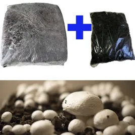 grzybnia-pieczarki-bialej-torf-24kg-kostka-do-uprawy-w-domu-pieczarki