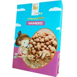 nameko-grzybnia-dla-dzieci-z-miniszklarenka