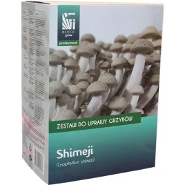 shimeji-gotowy-zestaw-do-uprawy-grzybow