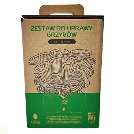 boczniak-ostrygowaty-mushrooms-grow-kit-zestaw-do-uprawy