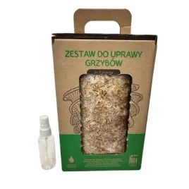 grzybnia-boczniak-ostrygowaty-mushrooms-grow-kit-zestaw