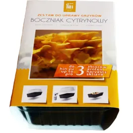 boczniak-cytrynowy-gotowe-podloze-z-miniszklarenka-3l