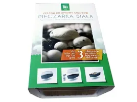 pieczarka-biala-w-zestawie-z-miniszklarenka-3l