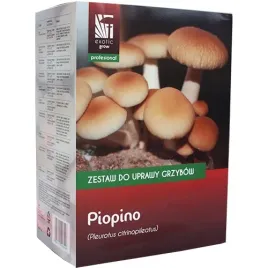 polowka-wiazkowa-piopino-zestaw-do-uprawy-grzybow