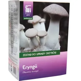 eryngii-zestaw-do-uprawy-grzybow