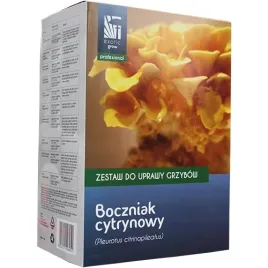 boczniak-cytrynowy-zestaw-do-uprawy-grzybow