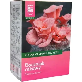 boczniak-rozowy-zestaw-do-uprawy-grzybow