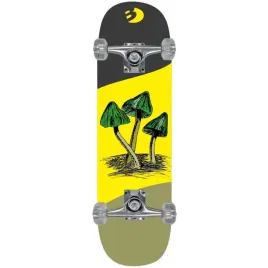 deskorolka-drewniana-mushrooms-best-sporting-best-sporting