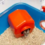 ferplast-combi-2-klatka-dla-chomika-ferplast-wysokosc-podstawy-52-cm