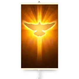 grzejnik-na-podczerwien-gietki-panel-grzewczy-430w-trio-wzor-12-golab-wy