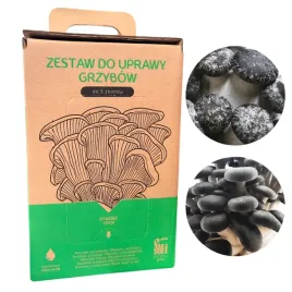 zestaw-do-domowej-uprawy-grzybow-boczniaka-ostrygowatego-black-pearl-6l