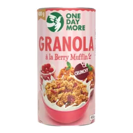 onedaymore-granola-a-la-berry-muffin-400g