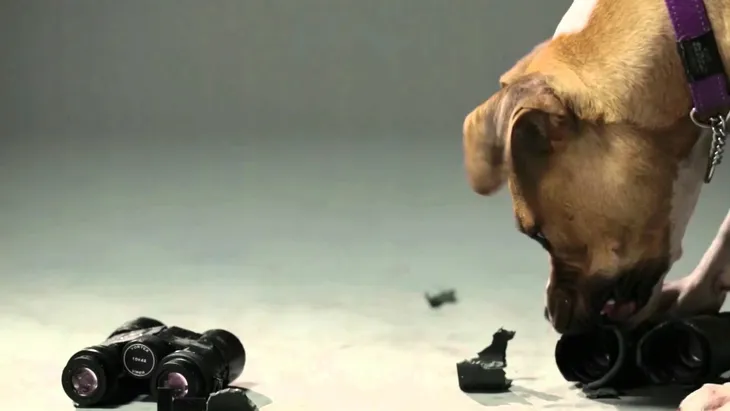 monokular-vortex-solo-8x36-s836-srednica-obiektywu-36-mm