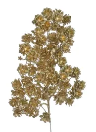 galazka-z-szyszkami-36cm-zlota-or-b-022-41