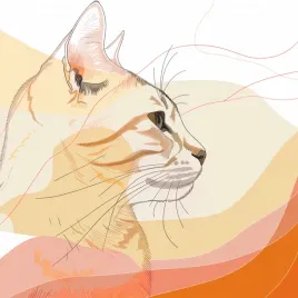 plakat-90x90cm-delikatny-profil-kota