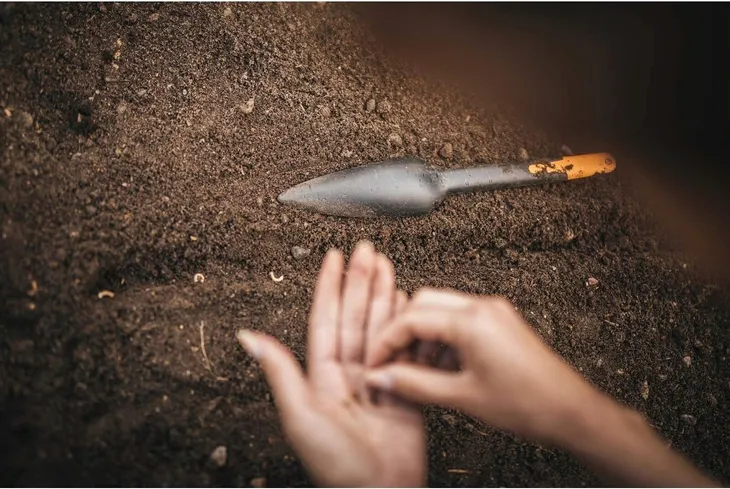 fiskars-solid-lopatka-do-wysiewu-33-mm-marka-inny