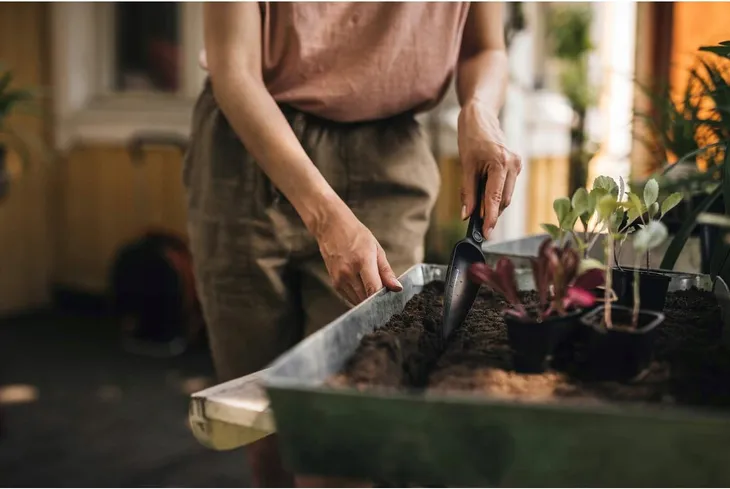 fiskars-solid-lopatka-do-wysiewu-33-mm-rodzaj-inny