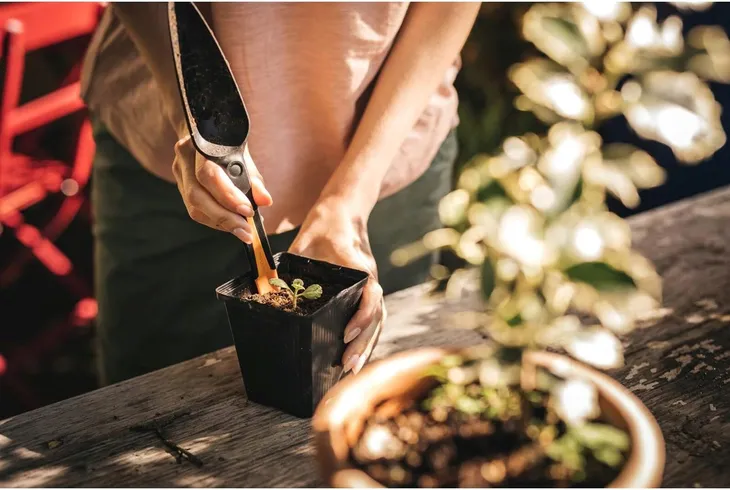 fiskars-solid-lopatka-do-wysiewu-33-mm-marka-inny-material-uchwytu-tworzywo-sztuczne