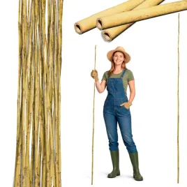 tyczka-bambusowa-180cm-12-14-mm-podpora-palik-do-roslin-zestaw-25-sztuk