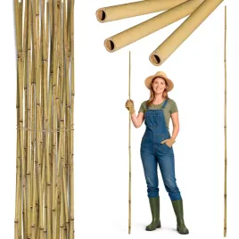 tyczka-bambusowa-210-cm-20-22mm-podpora-palik-do-roslin-zestaw-25-sztuk