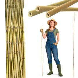 tyczka-bambusowa-150cm-10-12mm-podpora-palik-do-roslin-zestaw-25-sztuk
