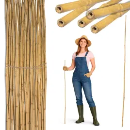 tyczka-bambusowa-120-cm-10-12mm-podpora-palik-do-roslin-zestaw-50-sztuk