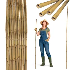 tyczka-bambusowa-180-cm-20-22mm-podpora-palik-do-roslin-zestaw-25-sztuk