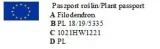 filodendron-philodendron-birkin-p14-rodzaj-rosliny-inny-waga-z-opakowaniem-1-kg