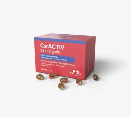 coractiv-cane-e-gatto