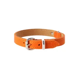 dingo-obroza-skorzana-boutique-20x50-cm-orange
