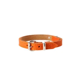 dingo-obroza-skorzana-boutique-16x40-cm-orange