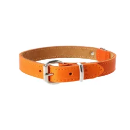 dingo-obroza-skorzana-boutique-25x60-cm-orange