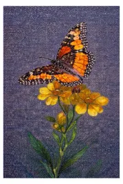 diamond-painting-haft-diamentowy-motyl-kwiaty-30x40cm