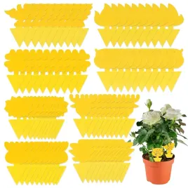 80x-zolty-lep-do-drzew-roslin-na-ziemiorki-mszyce-muszki-owocowki-owady