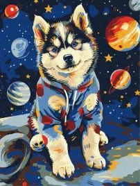 malowanie-po-numerach-ideyka-kosmiczny-husky-30x40-cm-zestaw