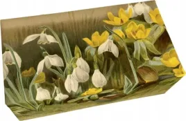 skona-ting-naturalne-mydlo-zapach-cytrynowe-200-geleganckie-opakowanie