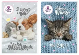 notes-a6-30-kartek-beniamin-the-sweet-pets-12-sztuk-kolorowy-poddruk