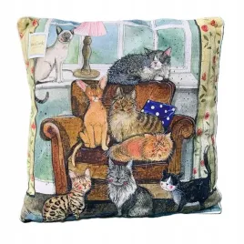 poduszka-dekoracyjna-45x45-cm-dom-pelen-kotowalex-clark