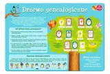 tablica-drzewo-genealogiczne-stan-nowy