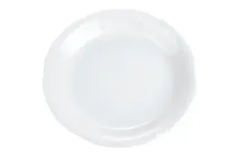 chodziez-kamelia-talerz-plytki-19-cm-0000