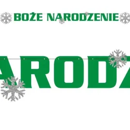baner-boze-narodzenie-z-brokatem-zielono-srebrny-22-m