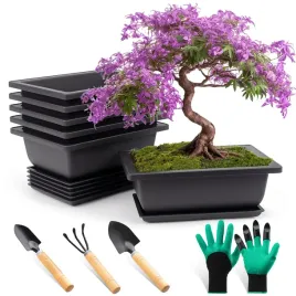 zestaw-6-sztuk-misek-do-bonsai-z-podstawka-z-tworzywa-sztucznego-fswwsf