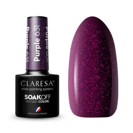 claresa-hybryda-sliwka-drobinki-purple-631