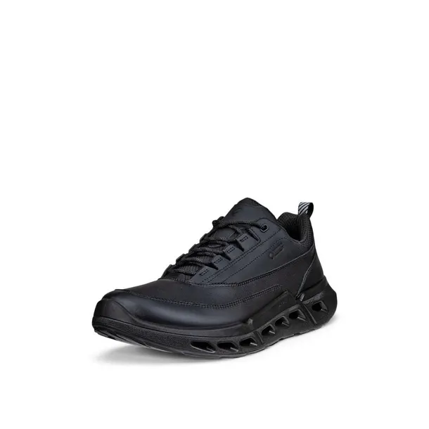 biom-720-gtx-kod-producenta-85030451094-marka-ecco