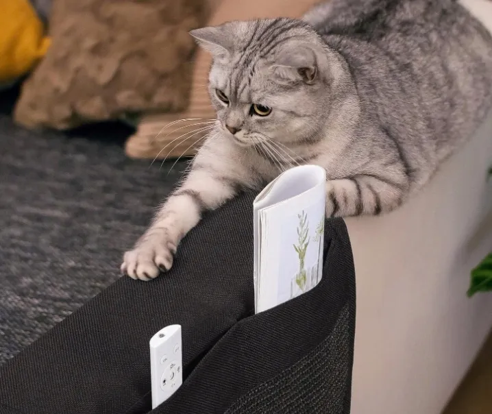 maty-do-drapania-navaris-101-160-cm