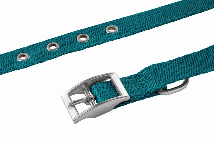 obroza-classic-s-niebieska-rodzaj-obroza