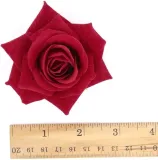 pomarancze-i-czerwienie-stan-nowy