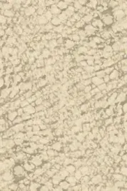 dywan-200x300-cm-bezowy-do-salonu-100percent-welna-prostokatny-agnella