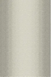 dywan-welniany-do-salonu-agnella-moana-popielaty-platinium-200x300-cm