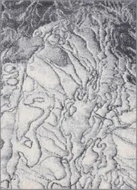 dywan-nowoczesny-do-salonu-agnella-tresko-szary-avanti-300x400-cm